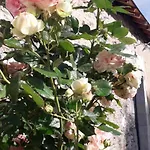 Au Fabuleux Festin La Possonnière