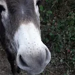 Au Fabuleux Festin 3*