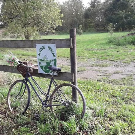 Au Fabuleux Festin Guest house