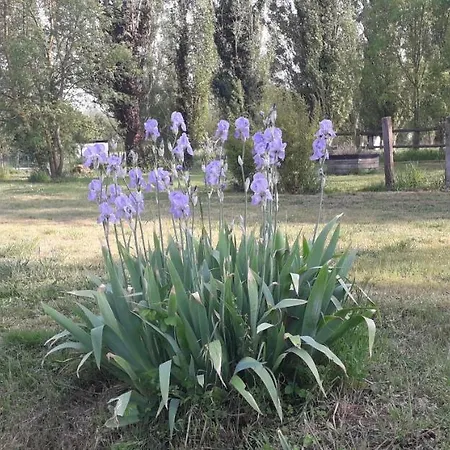 Au Fabuleux Festin Guest house