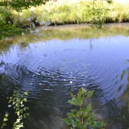 Au Fabuleux Festin Guest house